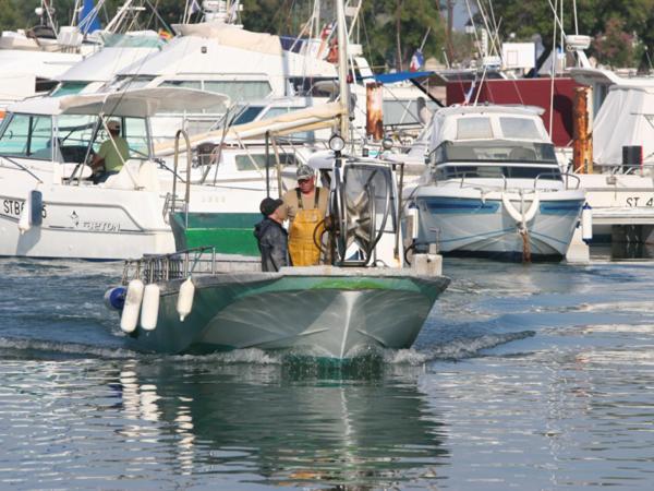 Oh! Campings La Brise Saintes-Maries-de-la-Mer Luaran gambar